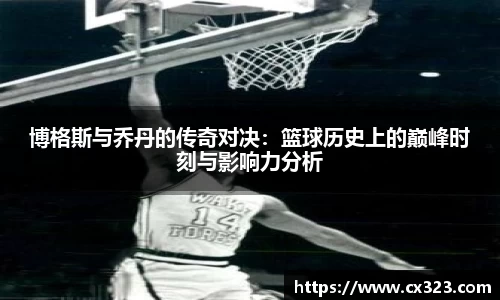智博19