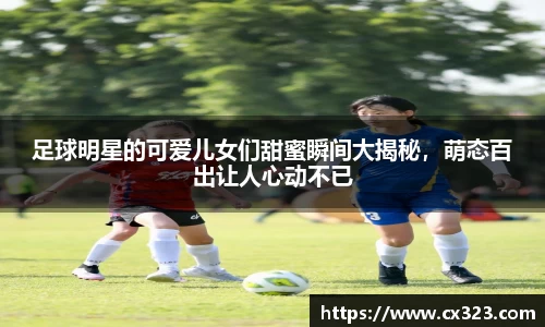 智博19有限公司